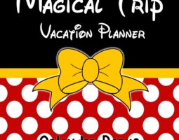 Magical Vacations Travel – Planning a Magical Vacation