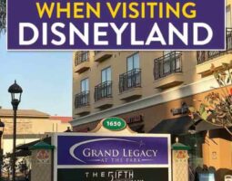 Hotels Near Disney Land