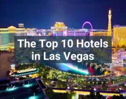 Las Vegas’ Best Hotels for Business and Leisure