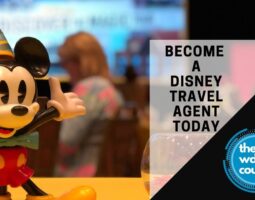 How to Become a Disney Travel Agent